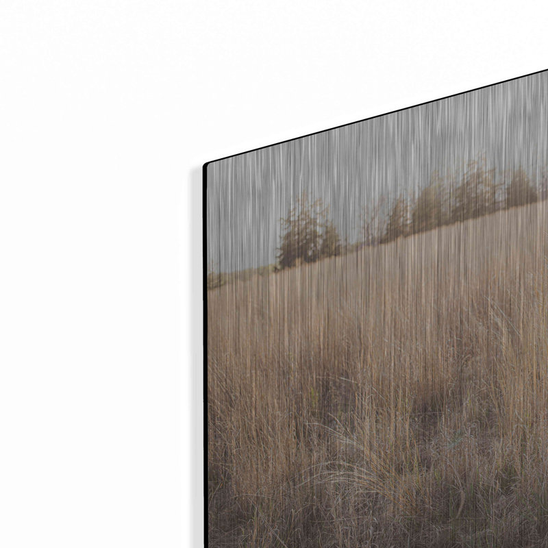 «Bright Sun Haze III» par Donnie Quillen, H 16 po x l 24 po