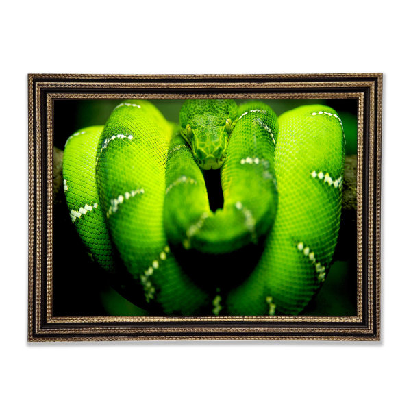 Ebern Designs Green Snake - Single Picture Frame Print | Wayfair.co.uk
