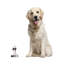 Figurine pour chat sky yoga tuxedo Evelien