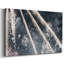 Toile tendue Celestial Glimmer-862789643