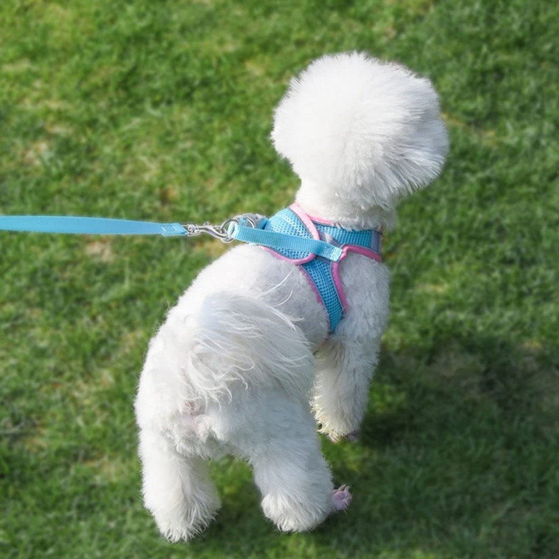 No Pull Dog Harness and Leash Set, Step in Adjustable Dog Harness with Padded Vest for All Weather, Dog Leash with Soft Padded Handle, Easy to Put on Small and Medium Dogs Pure Pink XS