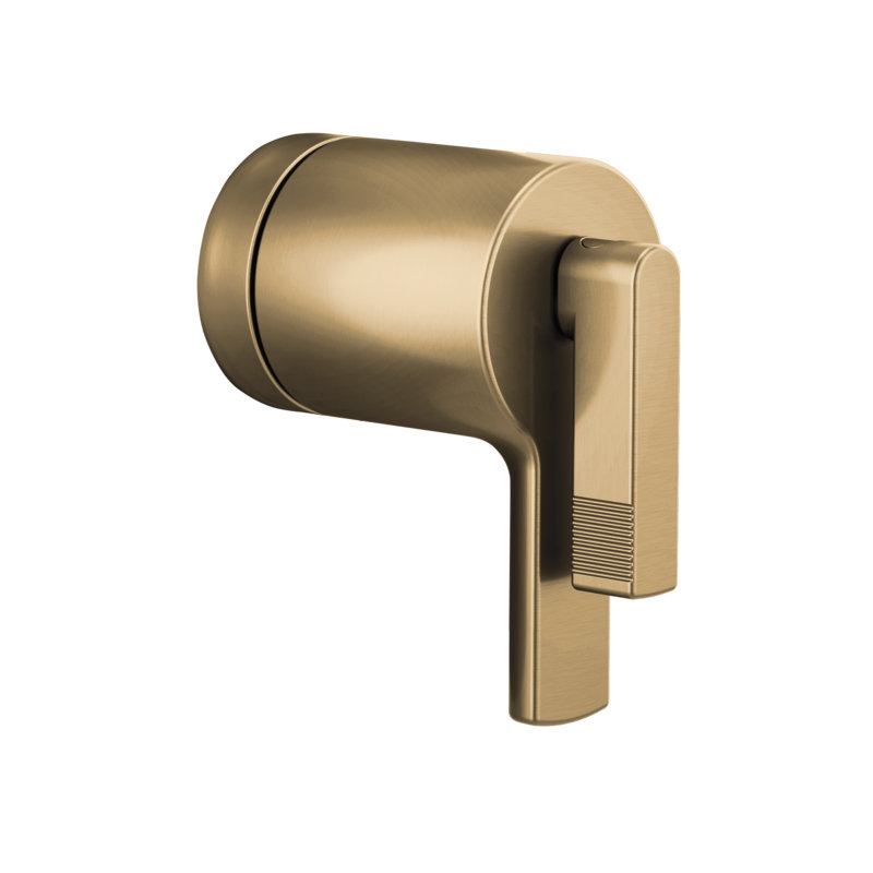 Kintsu® TempAssure® Thermostatic Valve Only Trim, Lever, Luxe Gold