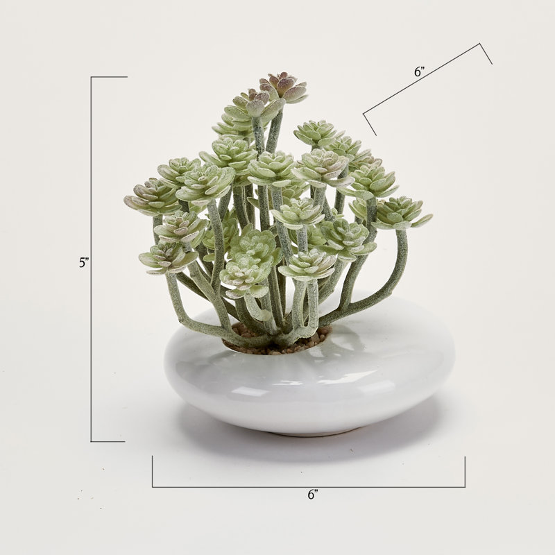 5'' Faux Aeonium Succulent in Ceramic Pot