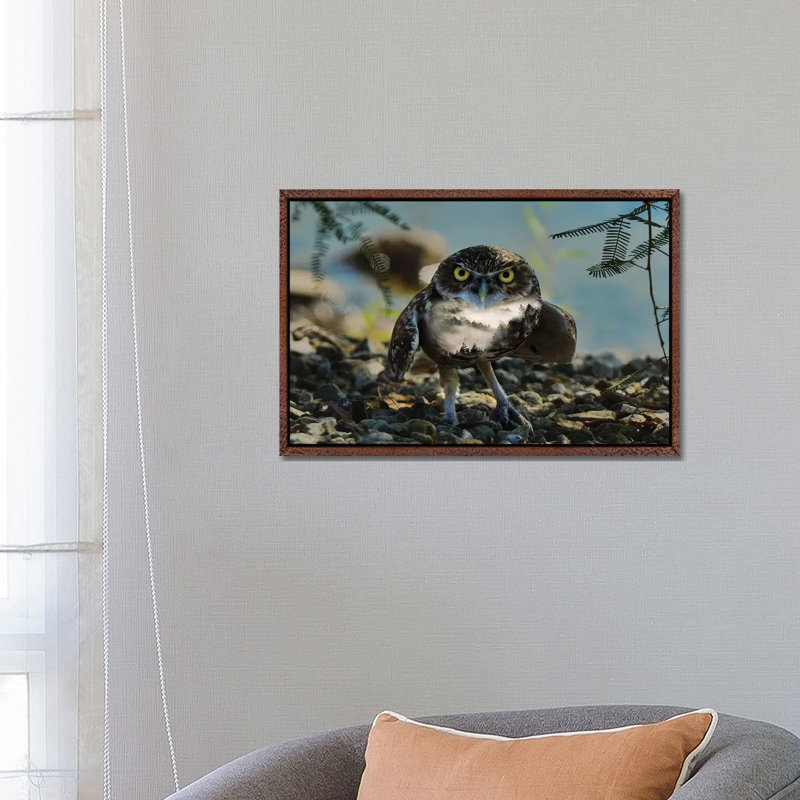 Wise Owl by Paul Haag - Print on Canvas, Classic Brown Wood Framed, 66.04 cm H x 45.72 cm W