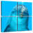Brampt Dolphin Encounter-109034160