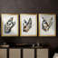 ANIMALS Series CECXLIX - Impression encadrée sur mesure de qualité supérieure - 3 pièces-759222102-759222121