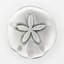 Petit bouton Sand Dollar (ensemble de 2)-128036966-39948843-128036965