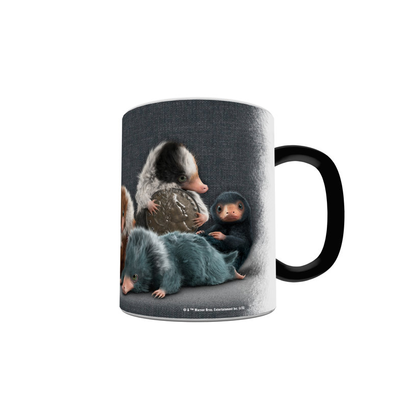 Fantastic Beasts The Crimes of Grindelwald-Coin Thief Morphing Mugs Heat-Changing Drinkware - 11oz
