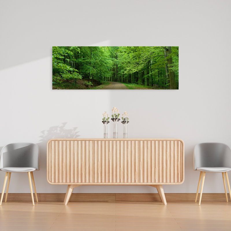 Road Through A Forest Near Kassel Germany by Collezione Panoramica - Wrapped Canvas Panoramic Print, 40.64 cm H x 121.92 cm W