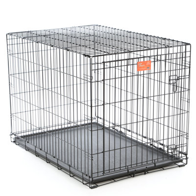 MidWest Homes for Pets Life Stage Single Door Dog Crate