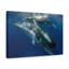 «Whale Couple», impression d'art mural-1564513696