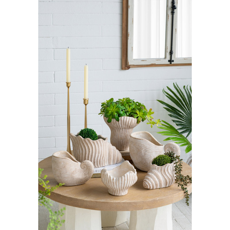 Nautilus Shell Shape Planter