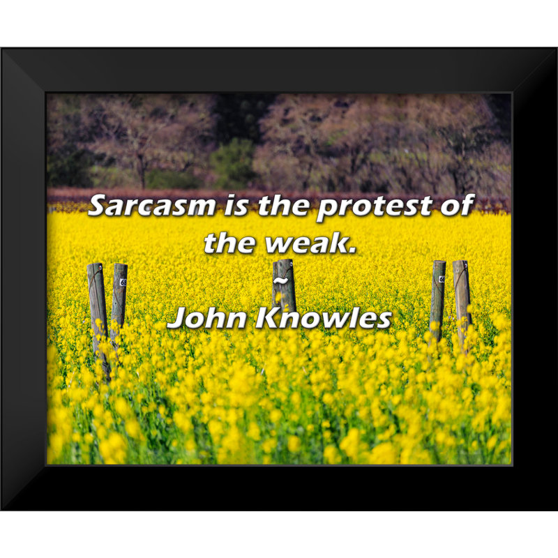 Citation de John Knowles: Le sarcasme est la protestation des faibles.