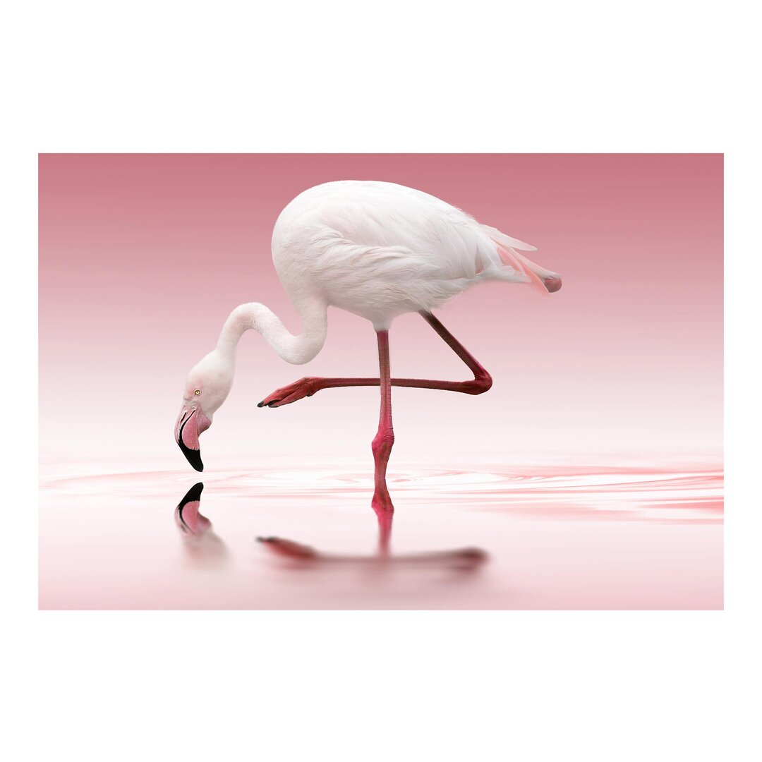 Seidenmatte Fototapete Flamingo Dance