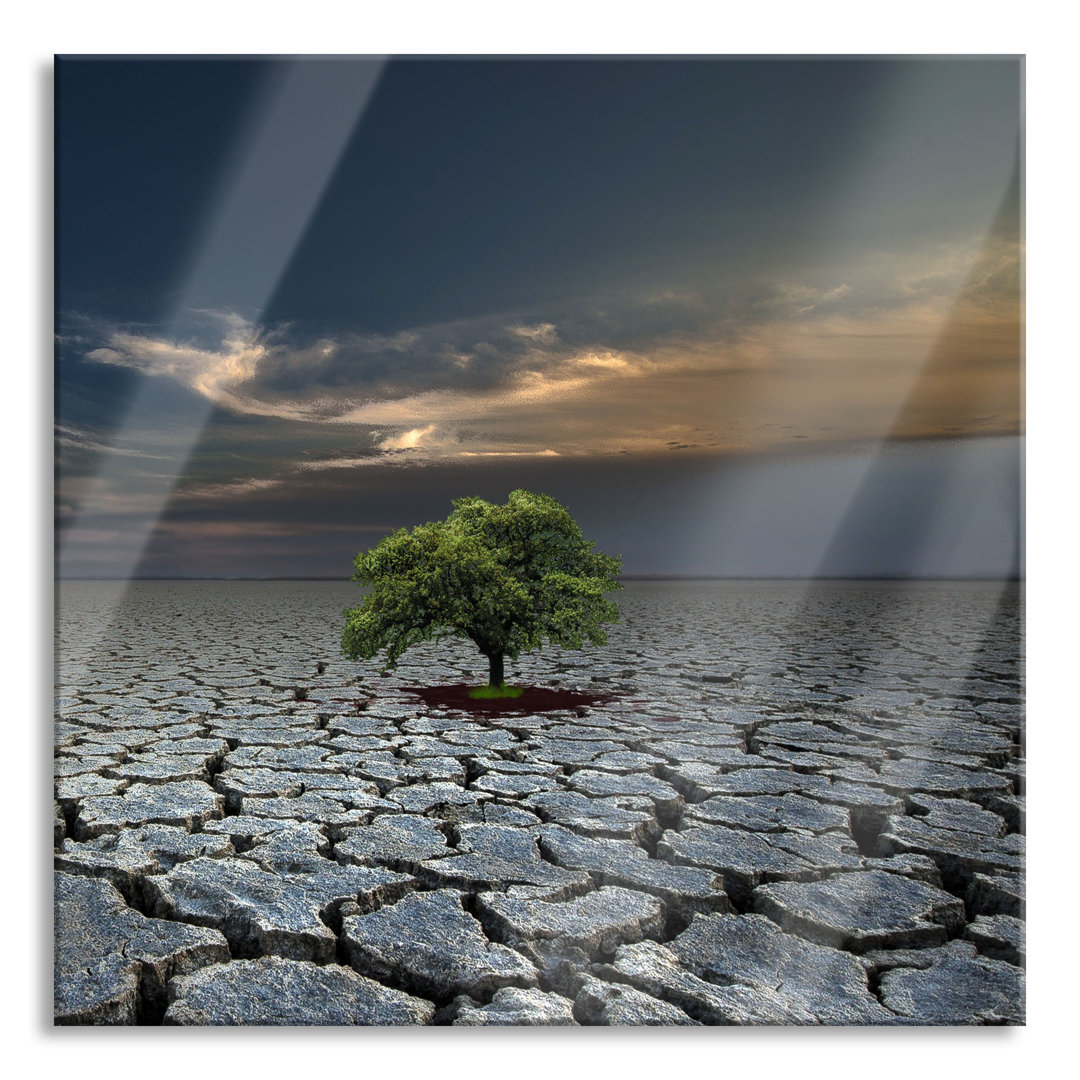 Ungerahmtes Foto auf Glas "Der Baum im Boden"