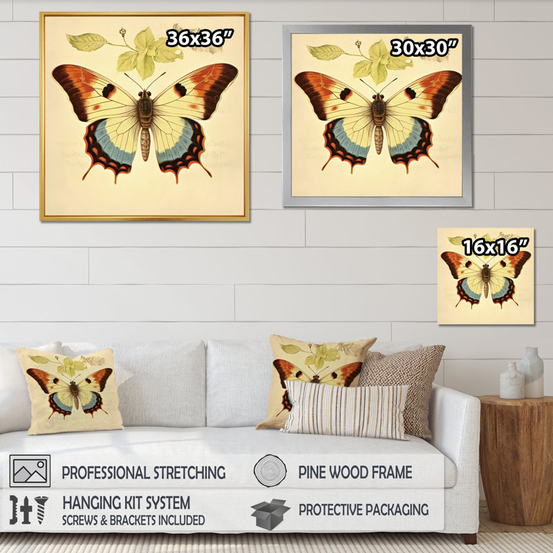 Illustration rétro d'un papillon élégant I, H 16 po x l 16 po x P 1 po, Cadre simple blanc