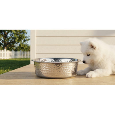 Ensemble de 2 bols pour chien en acier inoxydable martelé, fond en caoutchouc antidérapant, lavable au lave-vaisselle, capacité de 4 tasses, fond gris