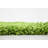 Torunn Indoor Rug-1252861523-1234200200
