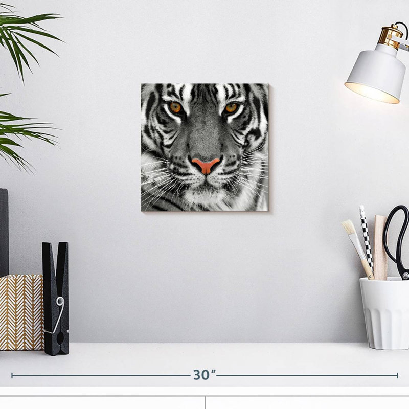 Brampt Staring Tiger, 10" H x 10" W