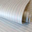 Rouleau de papier peint Smooth Glitter Stripes-72340617
