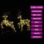 vidaXL LED Reindeers with 40 LEDs PET-2098922056