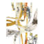 Crossing Encounter II Print by Jean Kenna-26762926-26762927