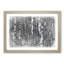 A Birch Tree Forest - Framed Print-56842726-56842728