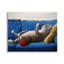 «Cat Couch Cat Relaxing Red Yarn Ball Pet» par Lucia Hefferenan - Peinture-65701721-65701723