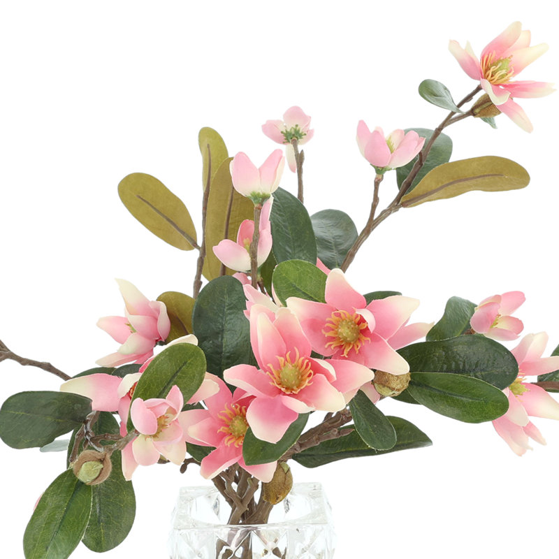 Magnolias disposés dans un vase en verre, Rose / vert / brun