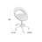 Arowyn Backed Adjustable Height Lab Stool with Wheels
