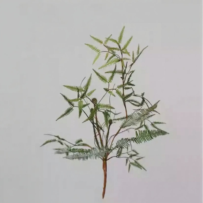 Branche de fougère aérienne, [C] 6 Stems, Style [B]