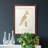 " Barn Owl "-1256061385-1256061386