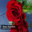 Rideau de douche Red Rose-590597163