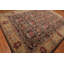 Brun Tapis décoratif en laine Touffeté à la main oriental-778990404