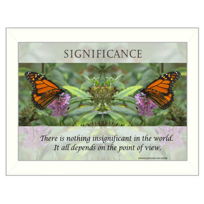 Significance Framed Wall Art for Living Room, Home Wall Décor for Bedroom