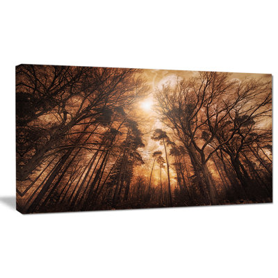 Pittoresque forêt d'automne - reproduction de photo sur toile tendue