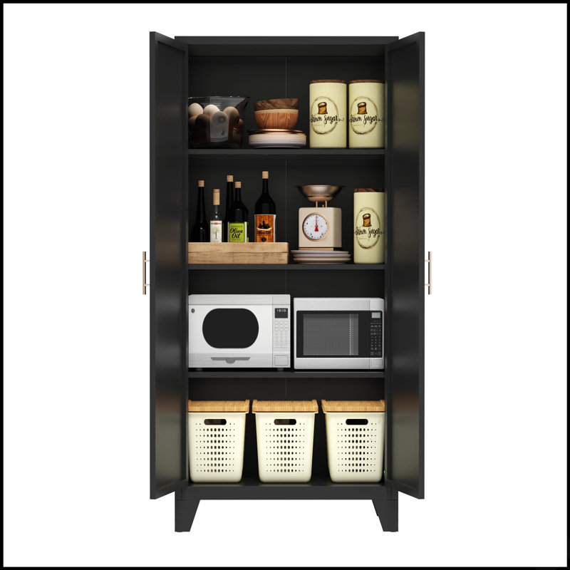Élégante armoire de rangement en métal à 2 portes avec tablettes réglables, parfaite pour organiser et maximiser l'espace dans les chambres et les salons.