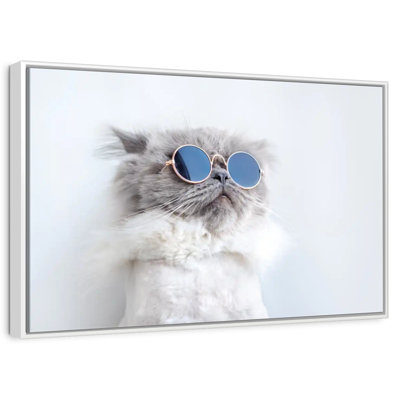 Cool Cat
