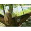 Lucia Double Camping Hammock-12808948-12808952