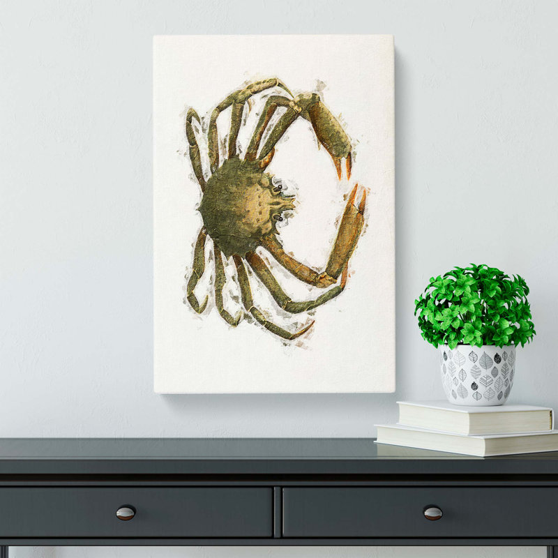 Spider Crab by J.E. De Kay - Wrapped Canvas, 76cm H x 50cm W x 3cm D