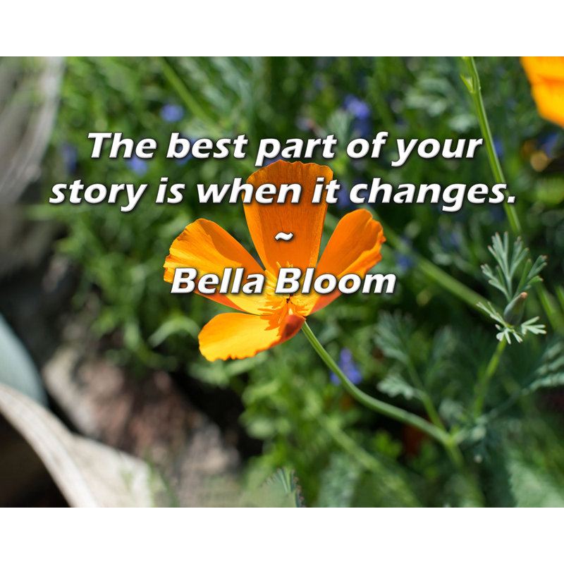 Citation artistique «La meilleure partie de votre histoire, c'est quand elle change.» Toile tendue par Bella Bloom