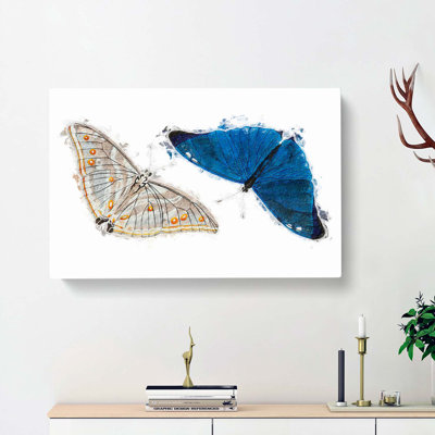 Adonis Butterfly - Wrapped Canvas