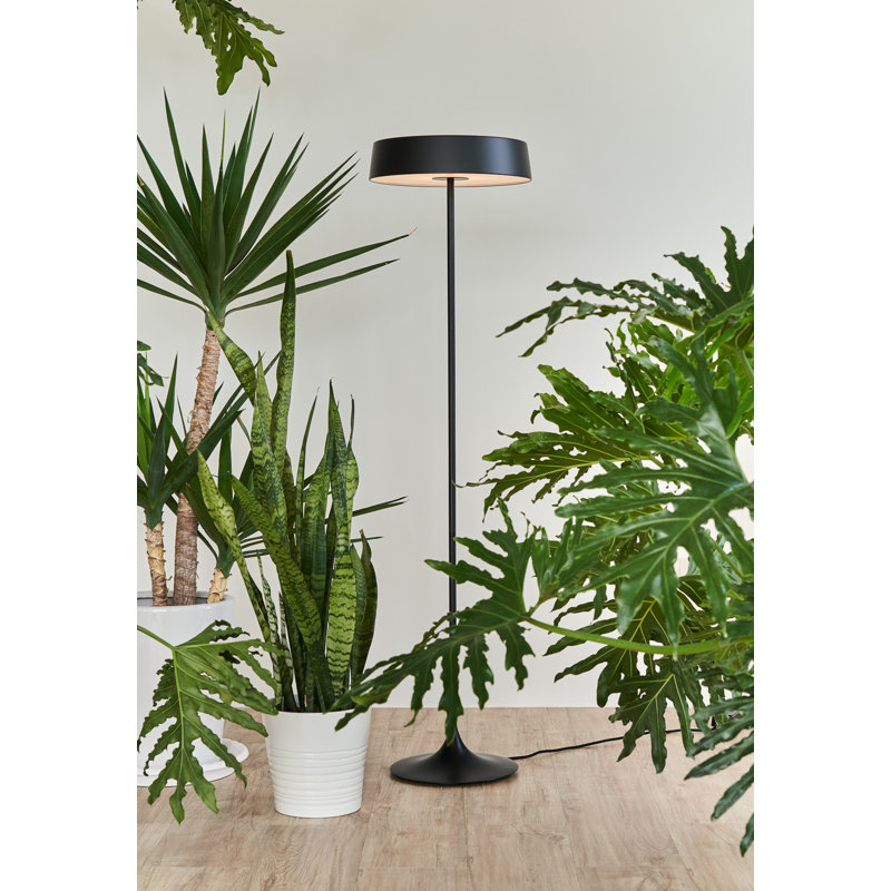 China Floor Lamp, Matte Black