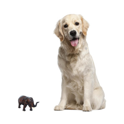 Kitley Animals Figurines & Sculptures