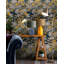 Florilegium Floral Wallpaper Roll-62105130