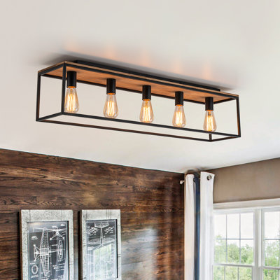 Delcina Industrial Rectangle Cage Flush Mount