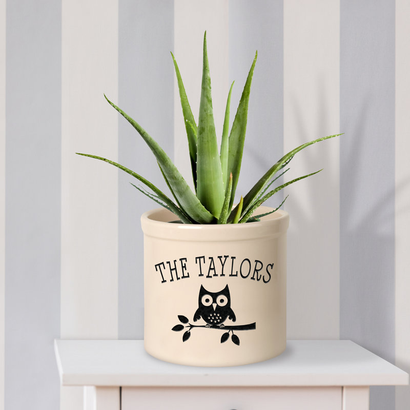 Boylston 1 - Piece Ceramic Pot Planter, Yes, Black
