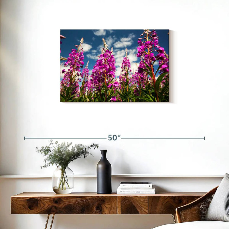 Harnek épilobe en fleurs, H 20 po x l 30 po