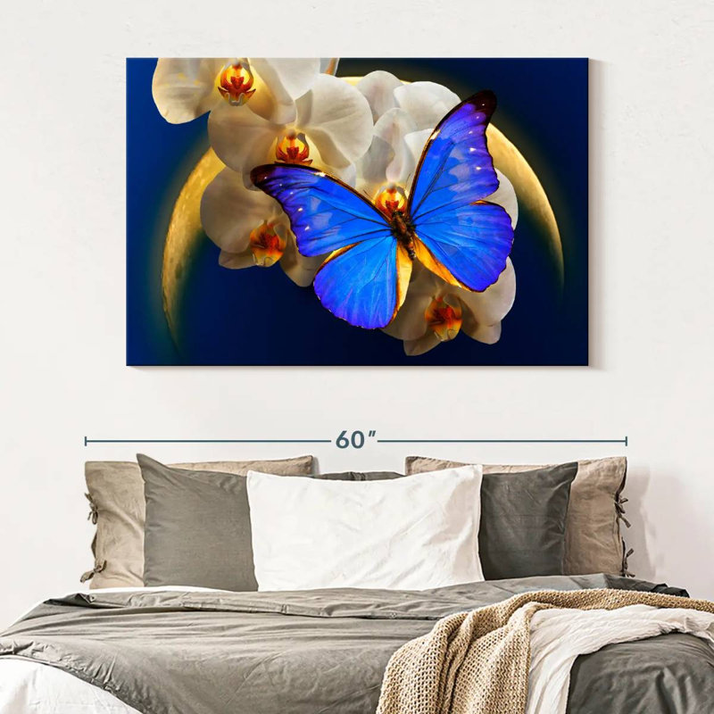 Moonlit Morpho Butterfly, 34" H x 51" W