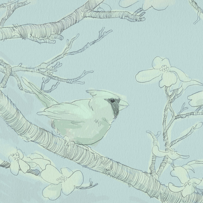 Backyard Bird Sketch I 1 Piece Wrapped Canvas Wall Art, 76cm H x 76cm W x 3.8cm D